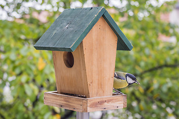 Image showing Titmouse feeding