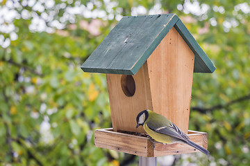 Image showing Titmouse