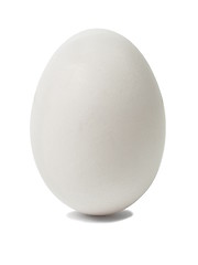 Image showing White egg