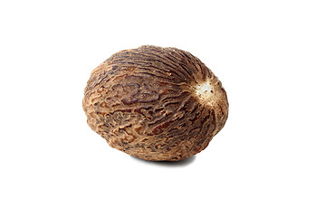 Image showing Nutmeg on white