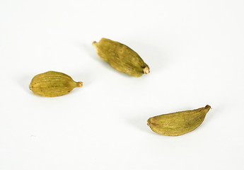 Image showing Whole cardamom isolated on grey scale background