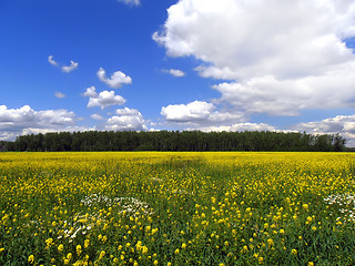 Image showing Rural Landscape.