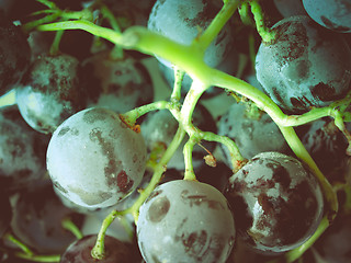 Image showing Retro look Grape