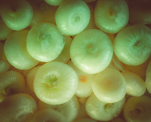 Image showing Retro look Onions