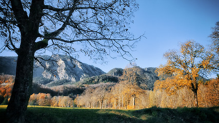 Image showing autumn scenery