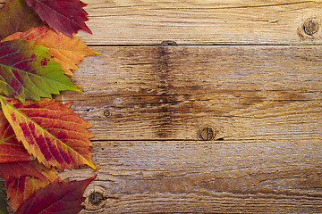 Image showing autumn maple leaves over old wooden background with copy space