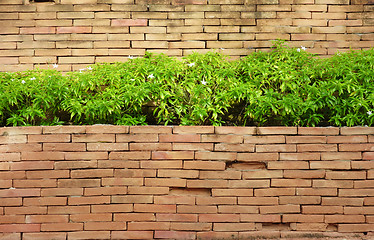 Image showing brick wall