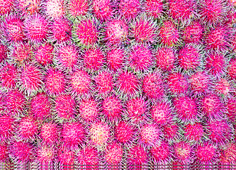 Image showing rambutan