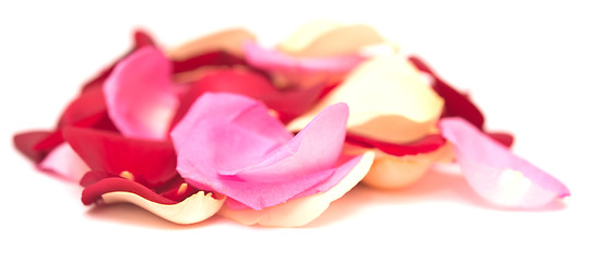 Image showing rose petals