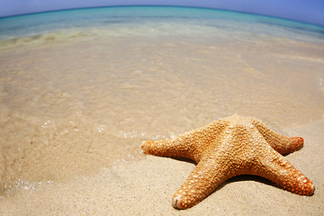 Image showing Wideangle Beach