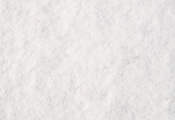 Image showing fresh snow