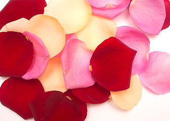 Image showing petal background