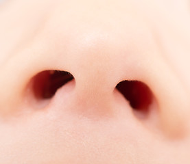 Image showing baby nose