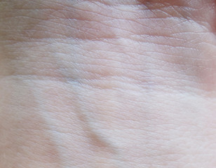 Image showing human skin