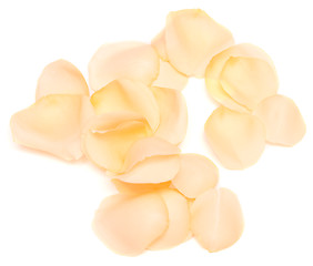 Image showing rose petals