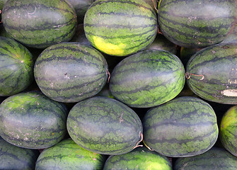 Image showing watermelons