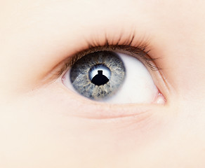 Image showing baby eye
