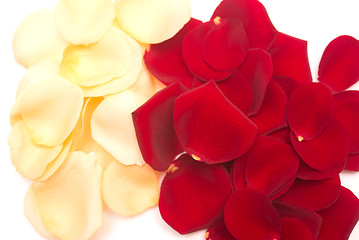 Image showing rose petals