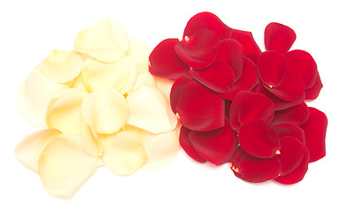 Image showing rose petals