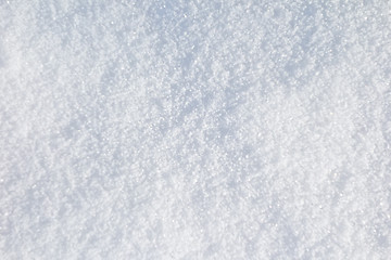 Image showing fresh snow