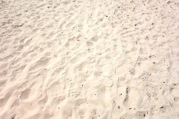 Image showing sand texture
