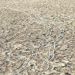 Image showing Bicycle tire track print on sand