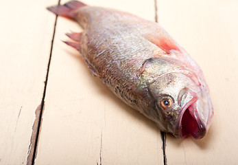 Image showing fresh whole raw fish