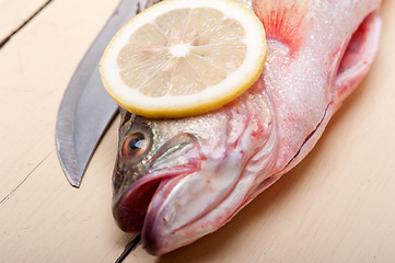 Image showing fresh whole raw fish