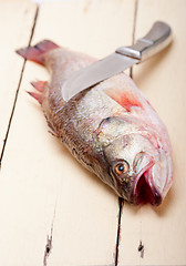 Image showing fresh whole raw fish