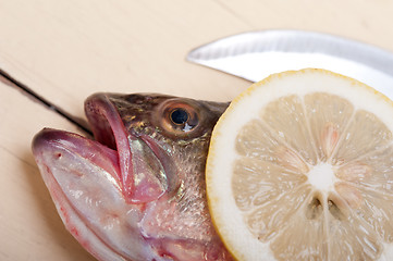 Image showing fresh whole raw fish