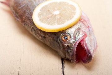 Image showing fresh whole raw fish