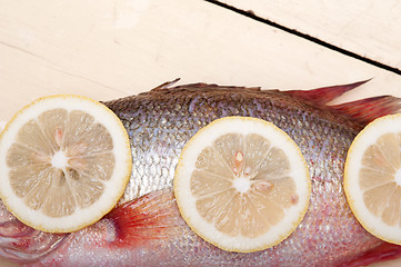 Image showing fresh whole raw fish