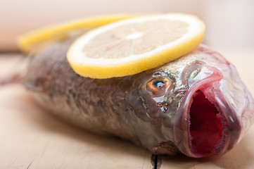 Image showing fresh whole raw fish