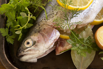 Image showing Raw Rainbow Trout