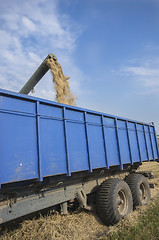 Image showing Wheat unloads