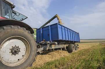 Image showing Harvester unloads wheat