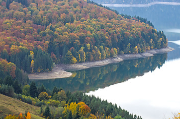 Image showing Mirroring forest