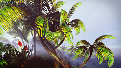 Image showing Hawaiian paradise 