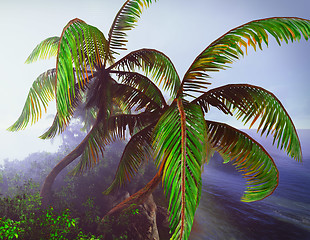 Image showing Hawaiian paradise 