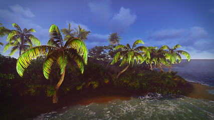 Image showing Hawaiian paradise 