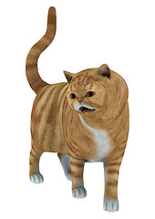 Image showing Red Tabby Cat