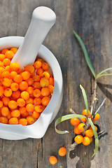 Image showing Sea buckthorn berries