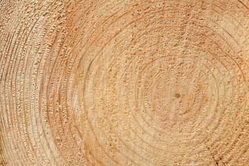 Image showing Woodgrain