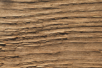 Image showing Woodgrain