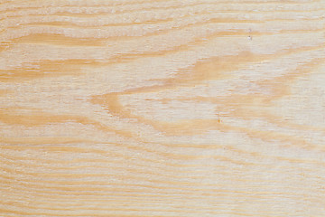 Image showing Woodgrain