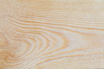 Image showing Woodgrain