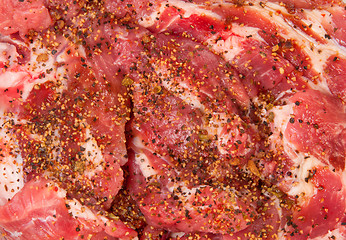 Image showing Raw Pork With Spices