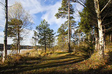 Image showing HDR capture of a lake in Bavaria in autumn