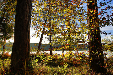 Image showing HDR capture of an autumnal landscape in Bavaria 