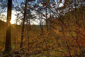 Image showing HDR capture of an autumnal landscape in Bavaria 